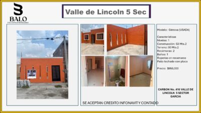 VALLE DE LINCOLN GARCIA